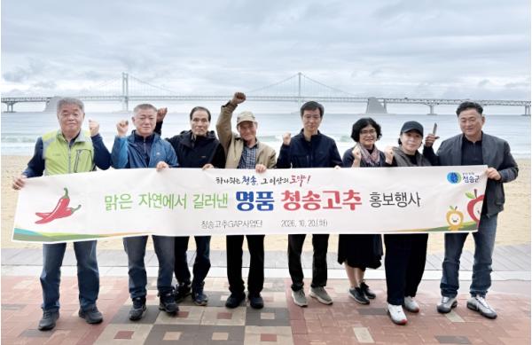 청송고추GAP사업단, 부산 광안리에서 청송명품고추 홍보 나서다 기사 이미지