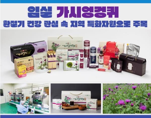 임실군, 자생약용 가시엉겅퀴 지역 농특산물 특화자원 적극 육성 기사 이미지