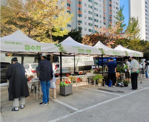 구청 앞마당 녹색 가득…도봉구, 돌봄 어르신 반려식물 전시회·클리닉 개최 기사 이미지