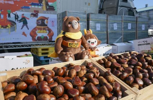 공주시, 미국 현지 뜨거운 호응 힘입어 ‘공주밤’ 20톤 추가 수출 기사 이미지
