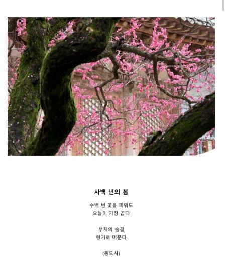 양산시립중앙도서관 독서동아리 회원, 디카시 공모전 최우수상 기사 이미지