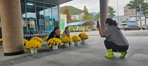 함안군종합복지관, 국화꽃으로 주민들에게 가을 추억 선물 기사 이미지
